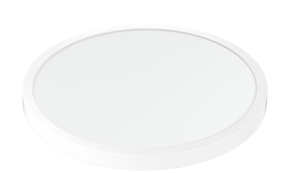Stropna LED plafonjera  24W- bijela
