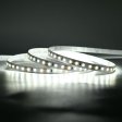 SMD LED traka 120D/m