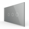 Stakleni Panel 4M 1 Tipka & 2 Tipke - sivi