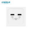 Modul / USB-2C 65W dimenzija 45mm*45mm 