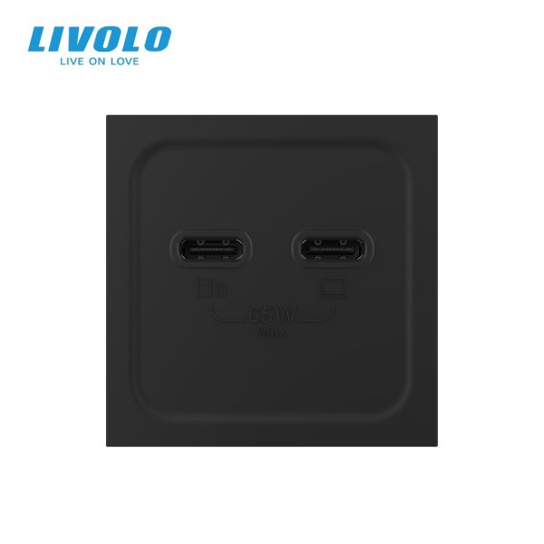 Modul / USB-2C 65W dimenzija 45mm*45mm - crna