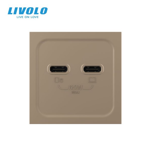 Modul / USB-2C 65W dimenzija 45mm*45mm - zlatna