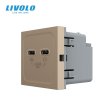 Modul / USB-2C 65W dimenzija 45mm*45mm - zlatna