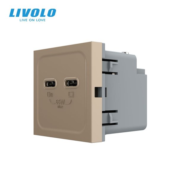 Modul / USB-2C 65W dimenzija 45mm*45mm - zlatna
