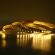 PLIVAJUĆA SMD LED traka 120D/m  