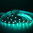 SMD LED RGBW traka 60D/m