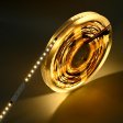DIGITALNA (PLIVAJUĆA) SMD LED traka 120D/m 