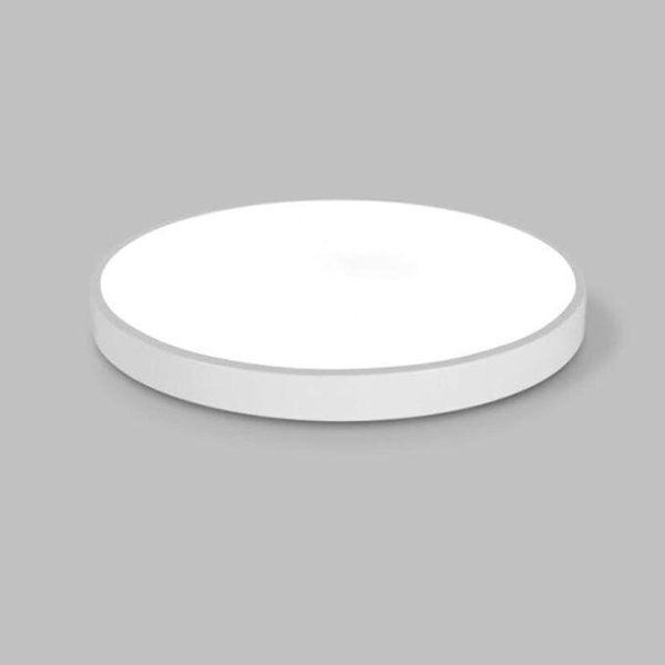 Stropna LED plafonjera  24W - bijela
