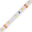 SMD LED traka 60D/m