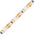 SMD LED traka 120D/m