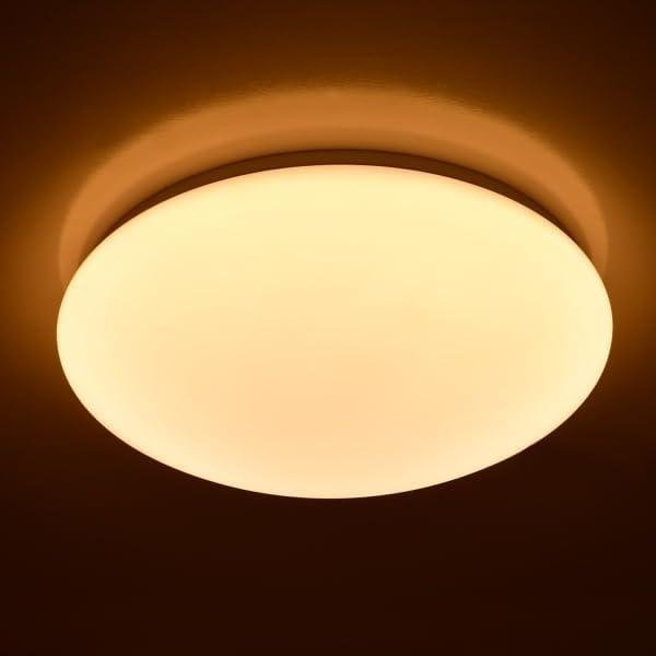 Stropna LED plafonjera fi 300